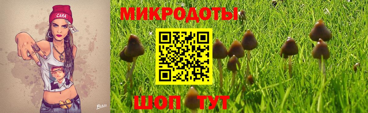 Кизляр  Псилоцибиновые грибы MAGIC MUSHROOMS  Вход с VPN  Псилоцибиновые грибы MAGIC MUSHROOMS 